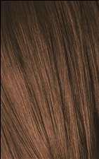 6-65 Dark Blonde Chocolate Gold Igora Royal