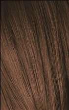 6-6 Dark Blonde Chocolate Igora Royal