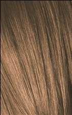 7-4 Medium Blonde Beige Igora Royal