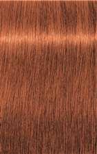 7-77 Medium Blonde Copper Extra Igora Royal