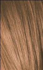8-65 Light Blonde Chocolate Gold Igora Royal